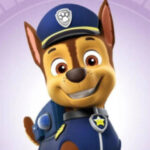 Profile photo of chase